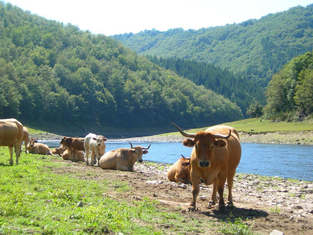 Готель Vvf Aubrac Шод-Еґ Екстер'єр фото