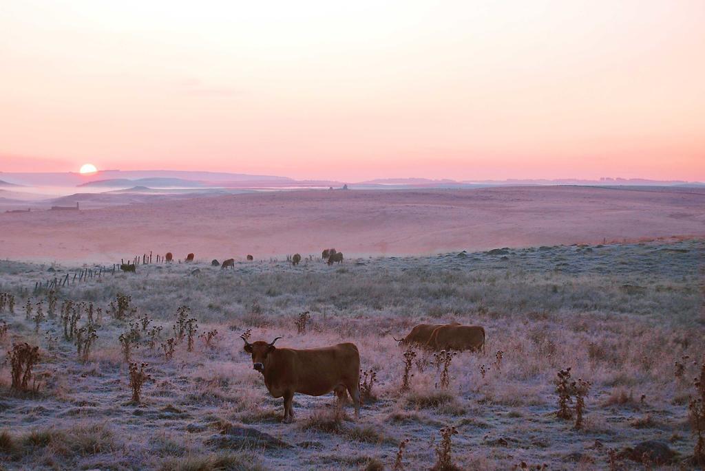 Готель Vvf Aubrac Шод-Еґ Екстер'єр фото
